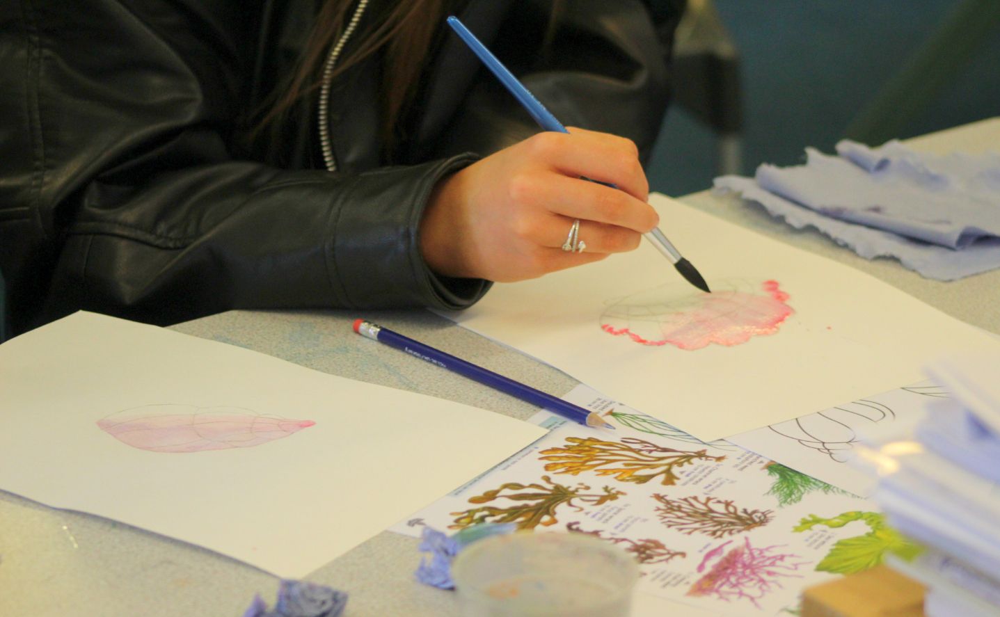 A hand holding a paintbrush over a picture of a shell